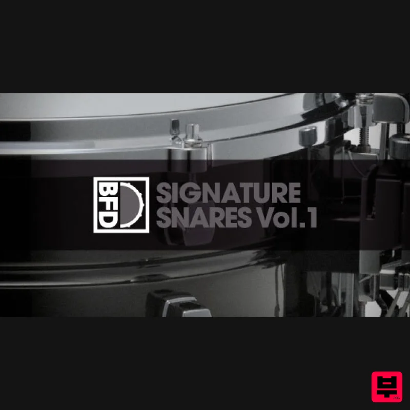 BFD BFD Signature Snares Vol. 1 - Expansion Packs