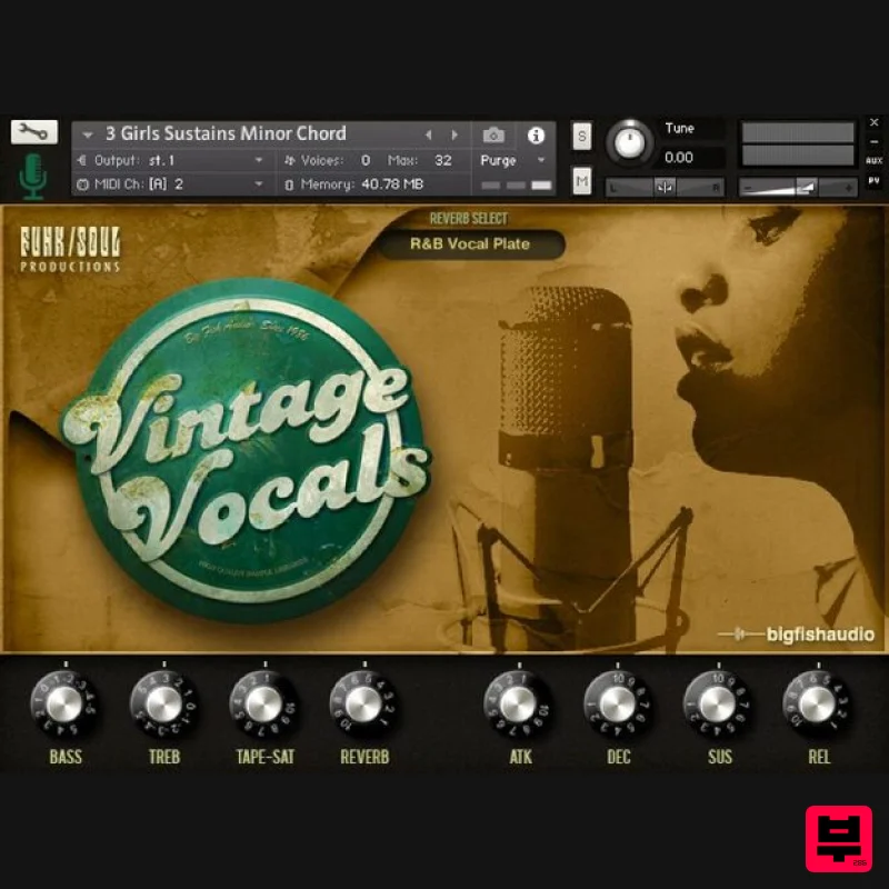 Big Fish Audio Vintage Vocals - Kontakt Instrument