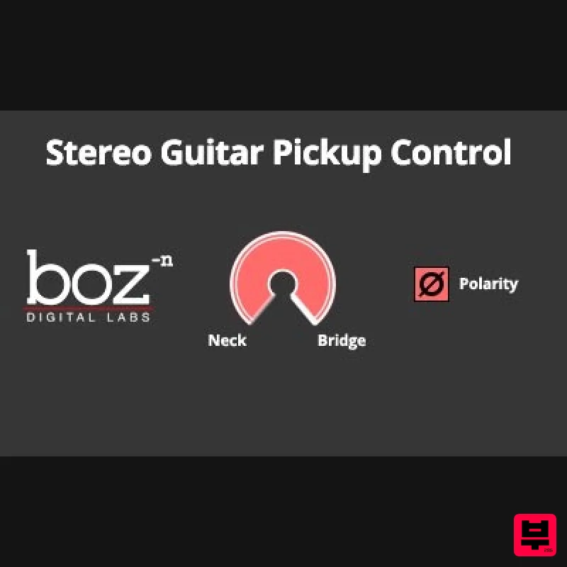 Boz Digital Labs Guitar Pickup Selector - Utility