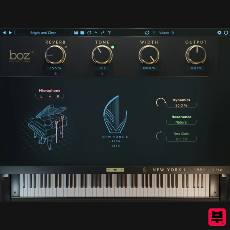 Boz Digital Labs New York L 1991 Lite - Virtual Instruments