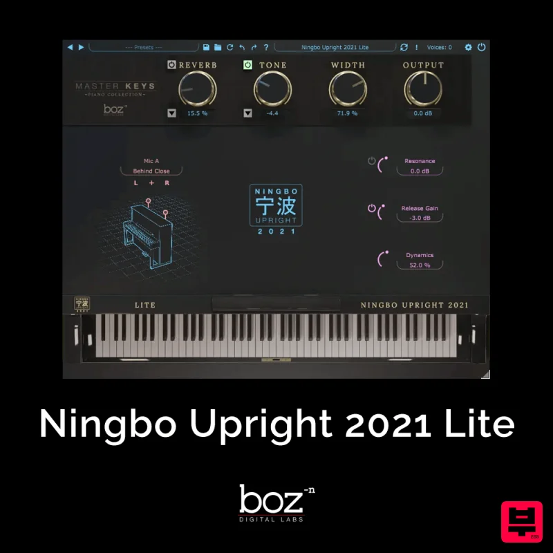 Boz Digital Labs Ningbo Upright 2021 Lite - Piano Instrument
