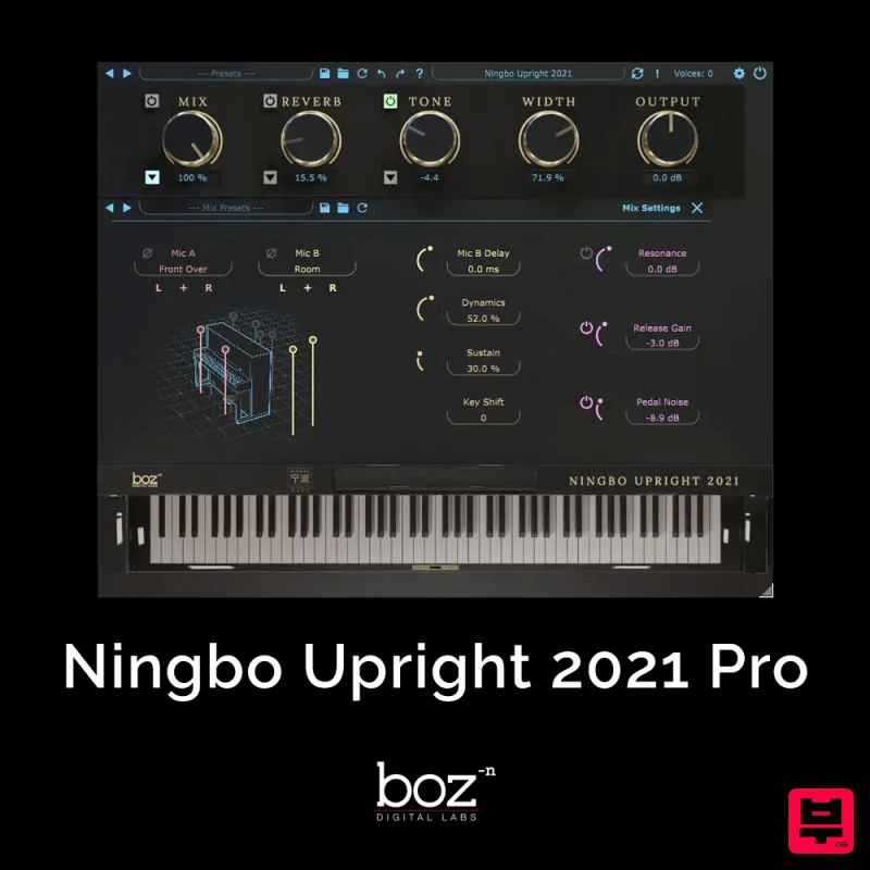 Boz Digital Labs Ningbo Upright 2021 Pro - Piano Instrument