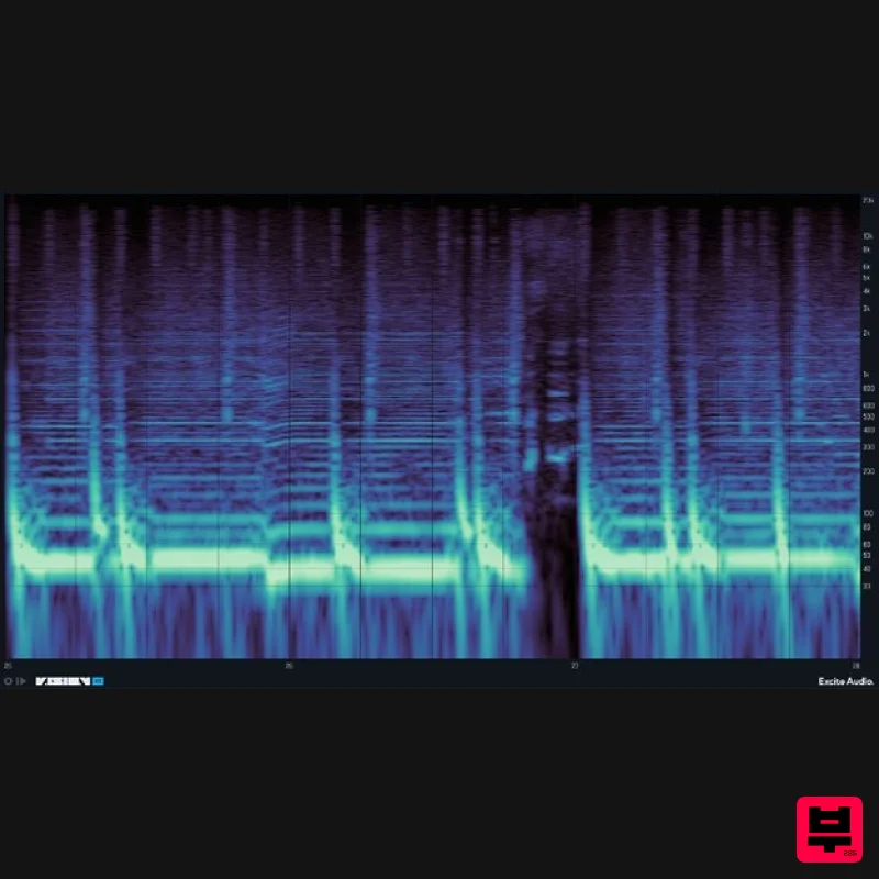 Excite Audio VISION 4X Lite - Professional Music Instrument Photo