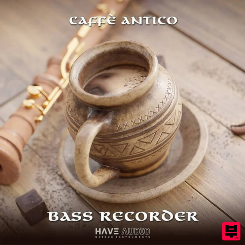 Have Audio Bass Recorder - Kontakt Instrument