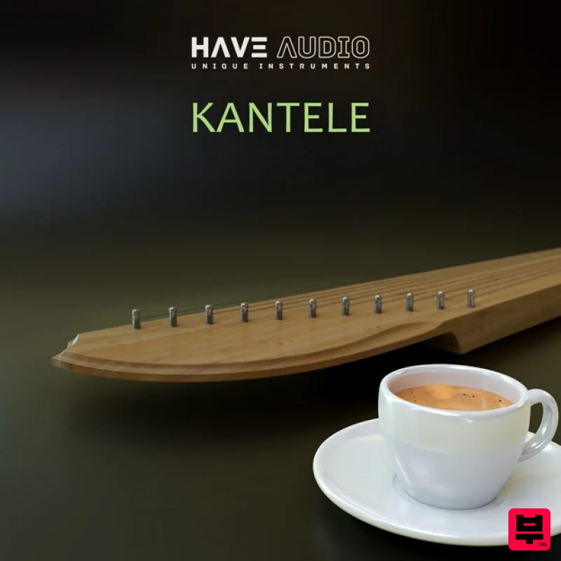 Have Audio Kantele - Kontakt Instrument