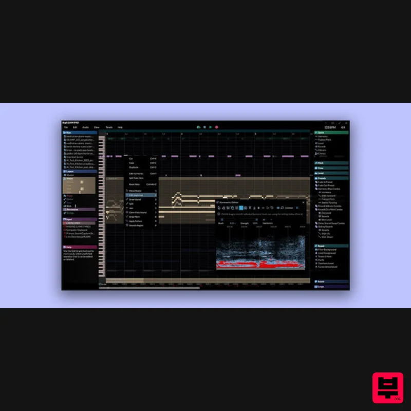 Hit'N'Mix RipX DAW Pro - DAW