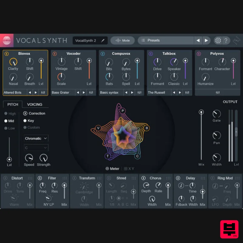 iZotope VocalSynth 2 - Vocal Processing