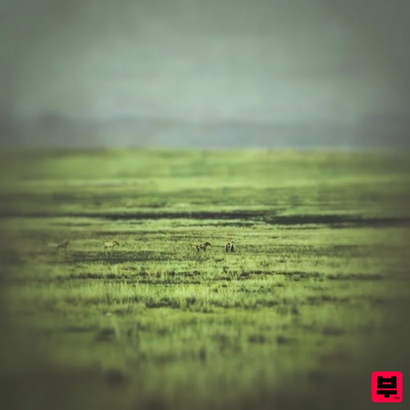 KLANG FREEZE: Tranquil Meadow for Ableton Live - Professional Music Instrument Photo