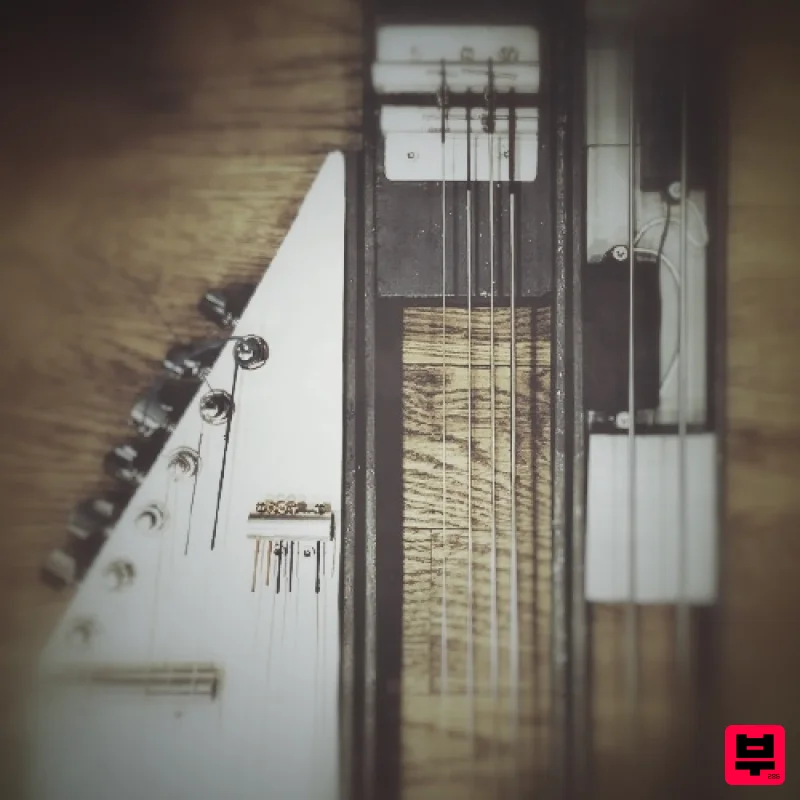 KLANG SYMPHONIC: Gambastard for Ableton Live - Kontakt Instrument