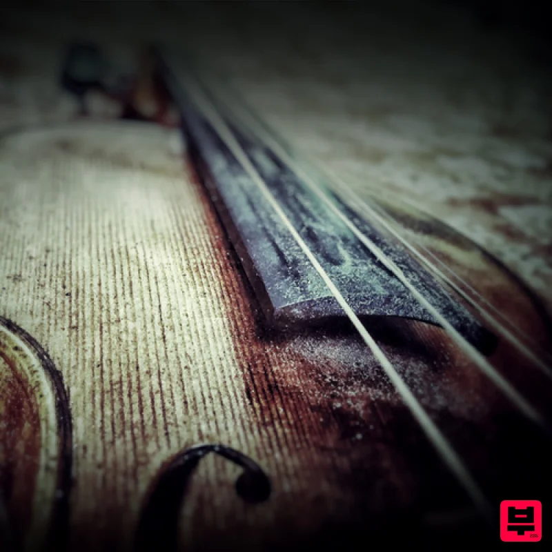 KLANG SYMPHONIC: Hammered Violin for Ableton Live - Professional Music Instrument Photo