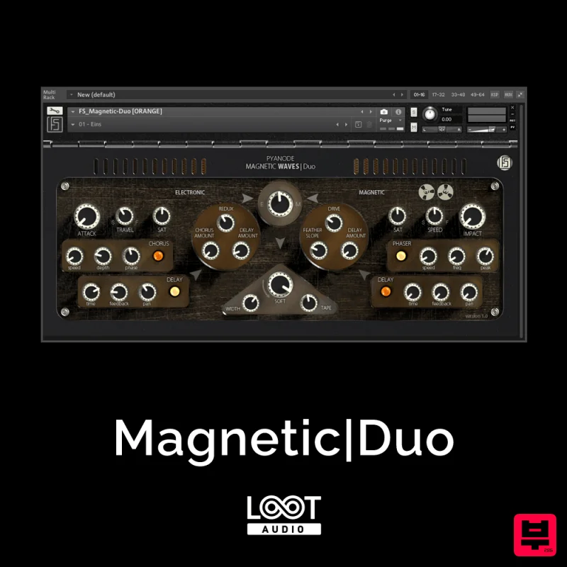 Loot Audio Magnetic|Duo - Professional Music Instrument Photo