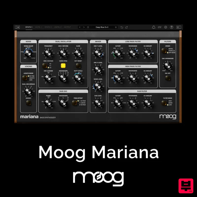 Moog Mariana - Synth