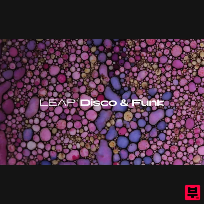 Native Instruments Leap Expansion - Disco and Funk - Expansion Packs