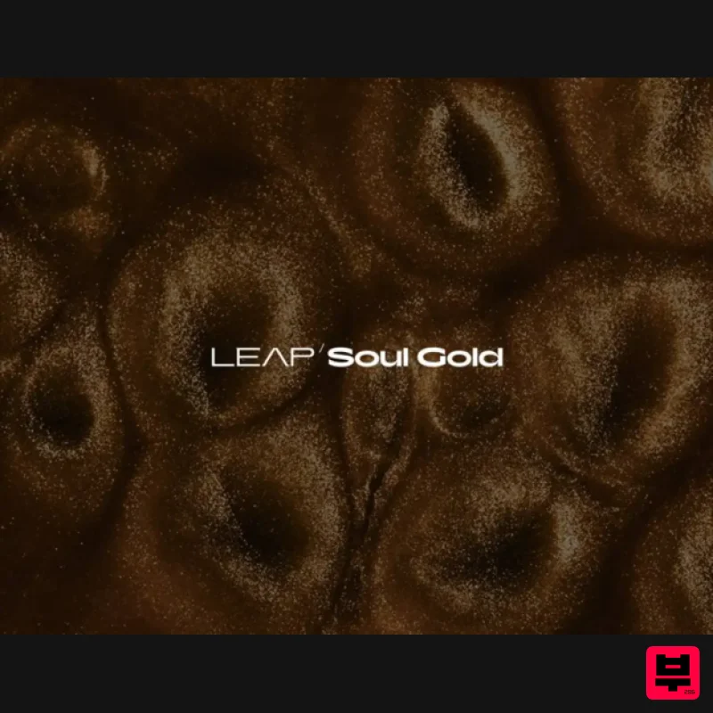 Native Instruments Leap Expansion - Soul Gold - Expansion Packs