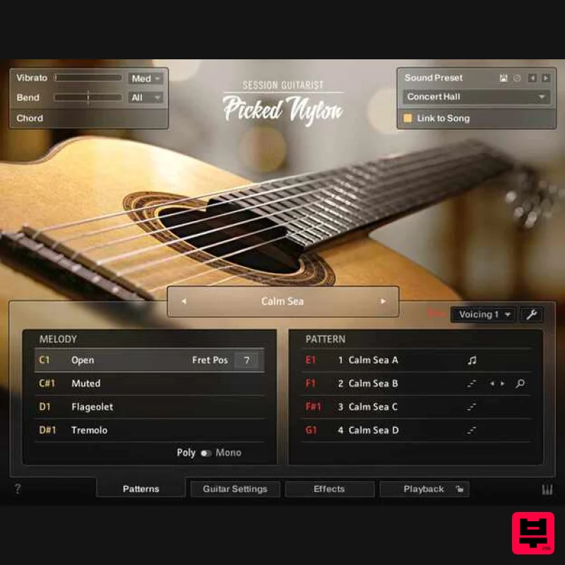 Native Instruments Session Guitarist - Picked Nylon - Professional Music Instrument Photo