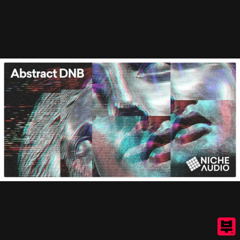 Niche Audio Abstract DnB - Maschine Expansions