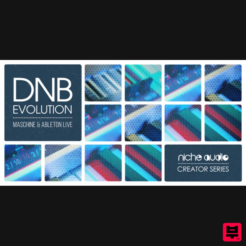Niche Audio Creator Series: DnB Evolution - Maschine Expansions