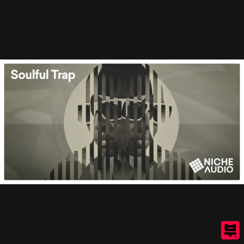 Niche Audio Creator Series: Soulful Trap - Maschine Expansions