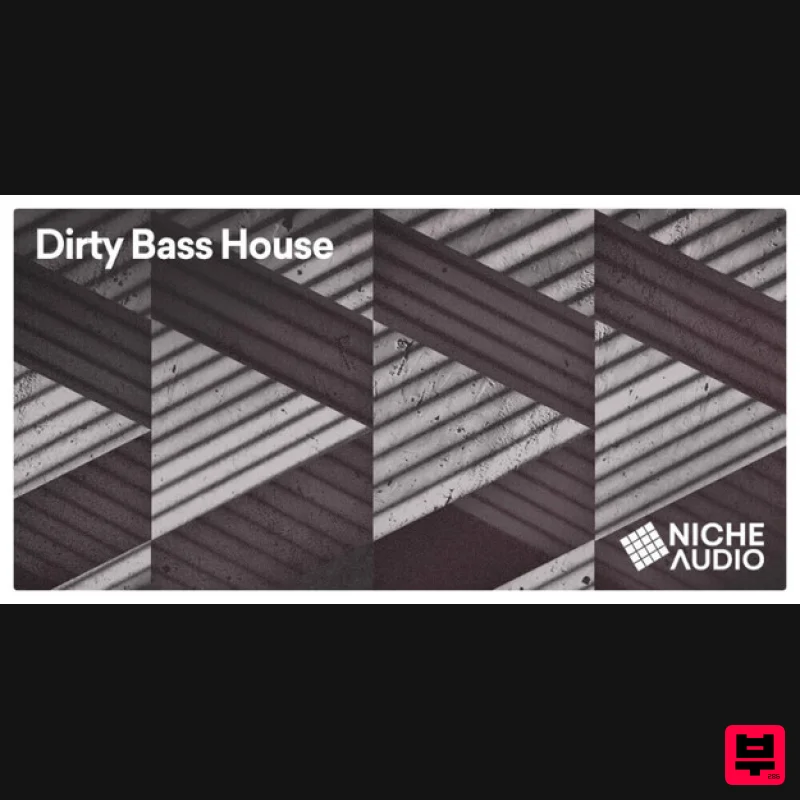 Niche Audio Dirty Bass House - Maschine Expansions