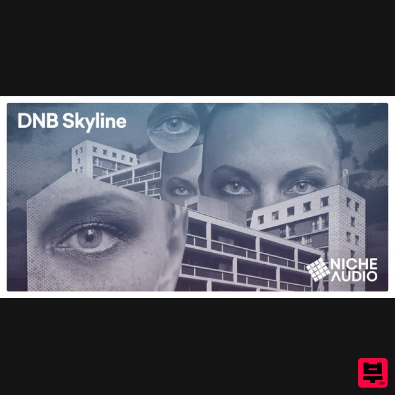Niche Audio DnB Skyline - Maschine Expansions