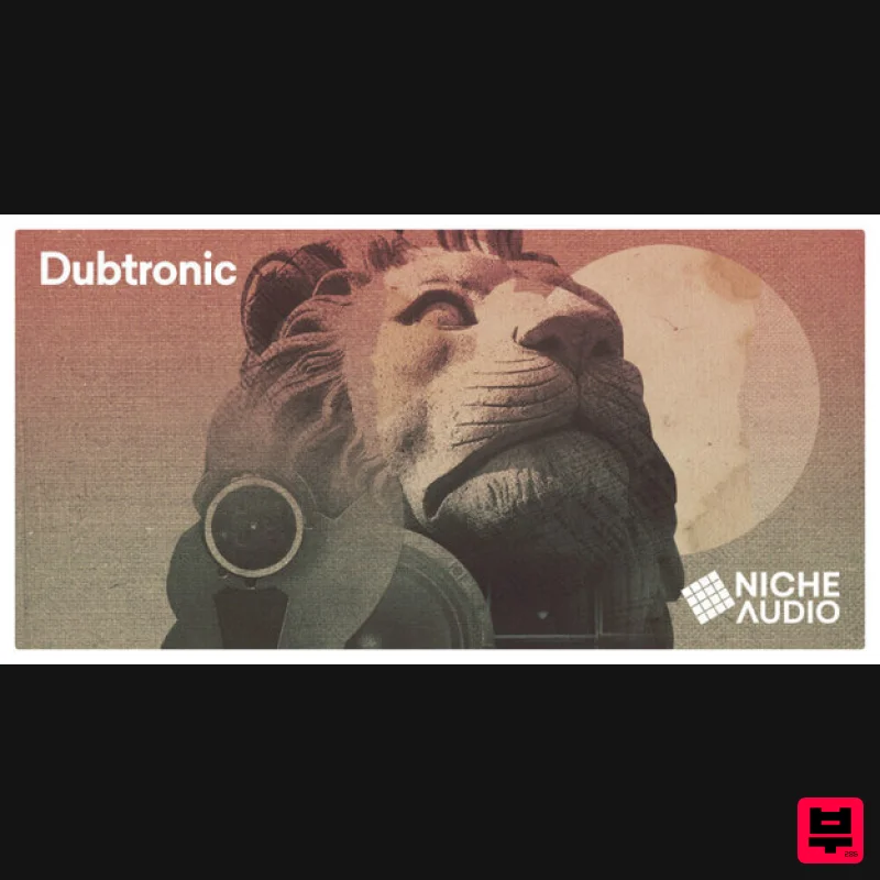 Niche Audio Dubtronic - Maschine Expansions