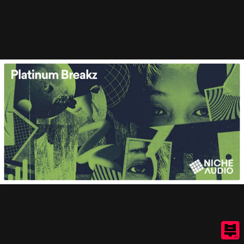 Niche Audio Platinum Breakz - Maschine Expansions