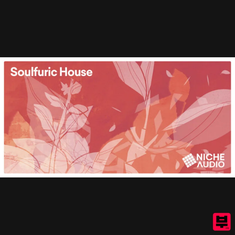 Niche Audio Soulfuric House - Maschine Expansions