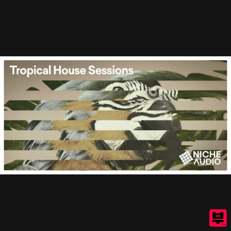 Niche Audio Tropical House Sessions - Maschine Expansions