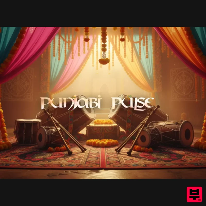 Pitch Innovations Sonic Atlas Expansion: Punjabi Pulse - Expansion Packs