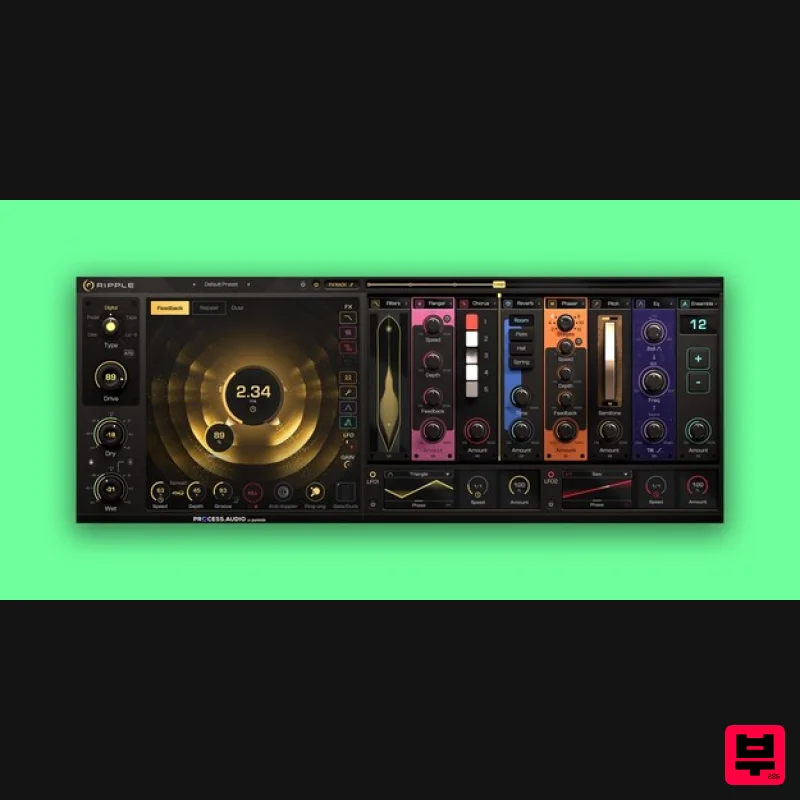 PROCESS.AUDIO Ripple - Delay