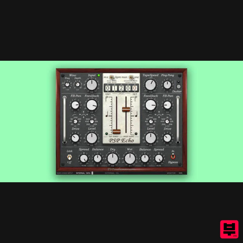 PSP Audioware PSP Echo - Professional Music Instrument Photo