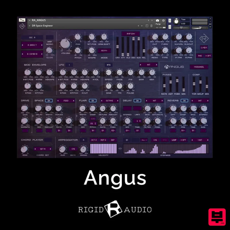 Rigid Audio Angus - Kontakt Instrument
