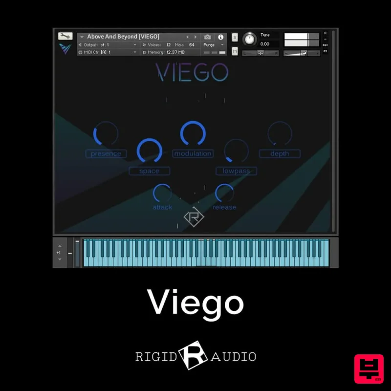 Rigid Audio Viego - Kontakt Instrument