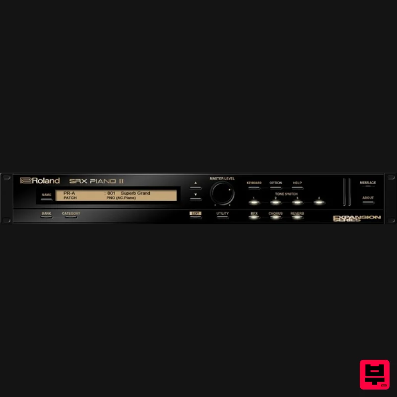 Roland SRX PIANO II - Professional Music Instrument Photo