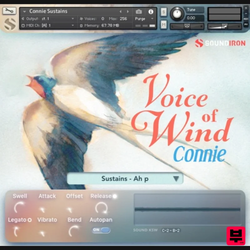 Soundiron Voice of Wind: Connie - Kontakt Instrument