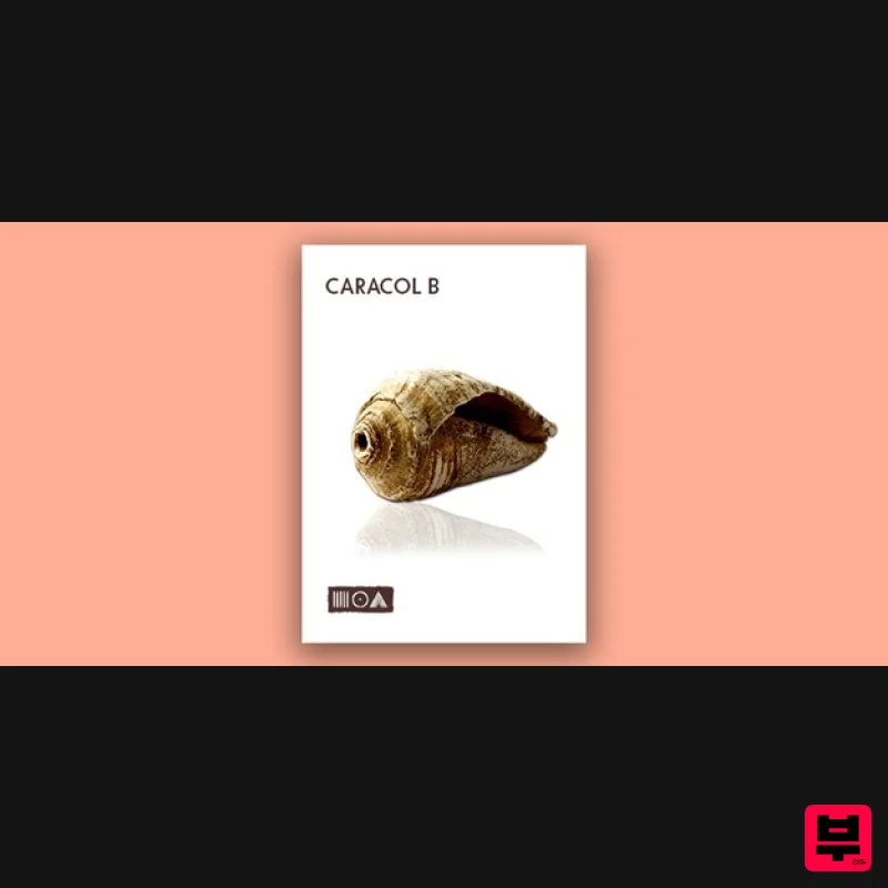 Sounds of the Earth Caracol B - Kontakt Instrument
