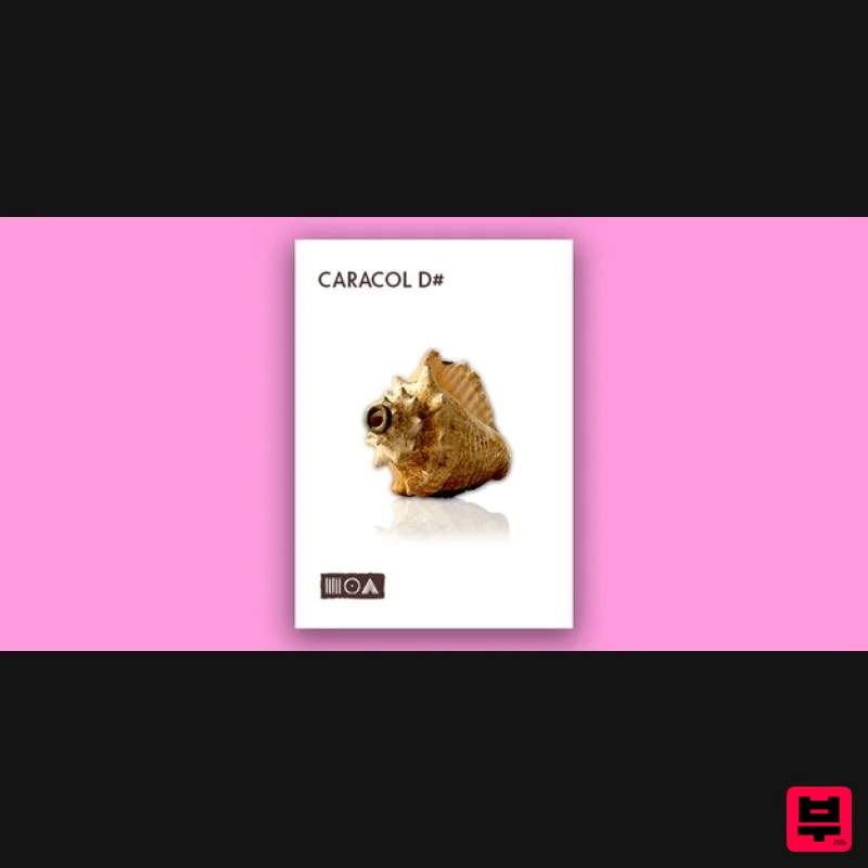 Sounds of the Earth Caracol D# - Kontakt Instrument