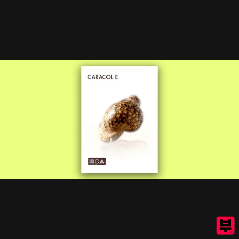Sounds of the Earth Caracol E - Kontakt Instrument