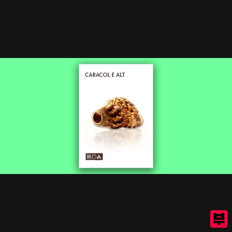Sounds of the Earth Caracol E Alt - Kontakt Instrument