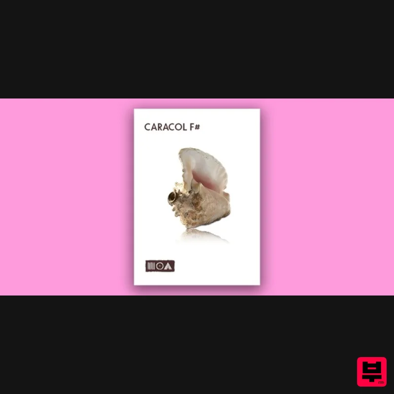 Sounds of the Earth Caracol F# - Kontakt Instrument