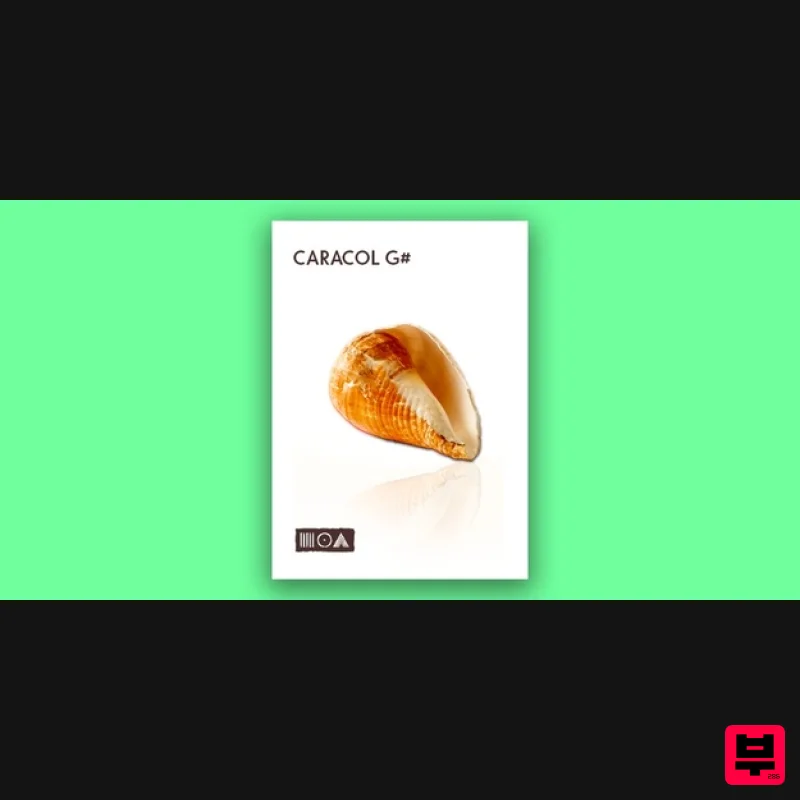 Sounds of the Earth Caracol G# - Kontakt Instrument