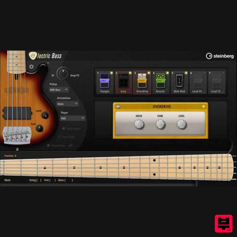 Steinberg Electric Bass - Professional Music Instrument Photo