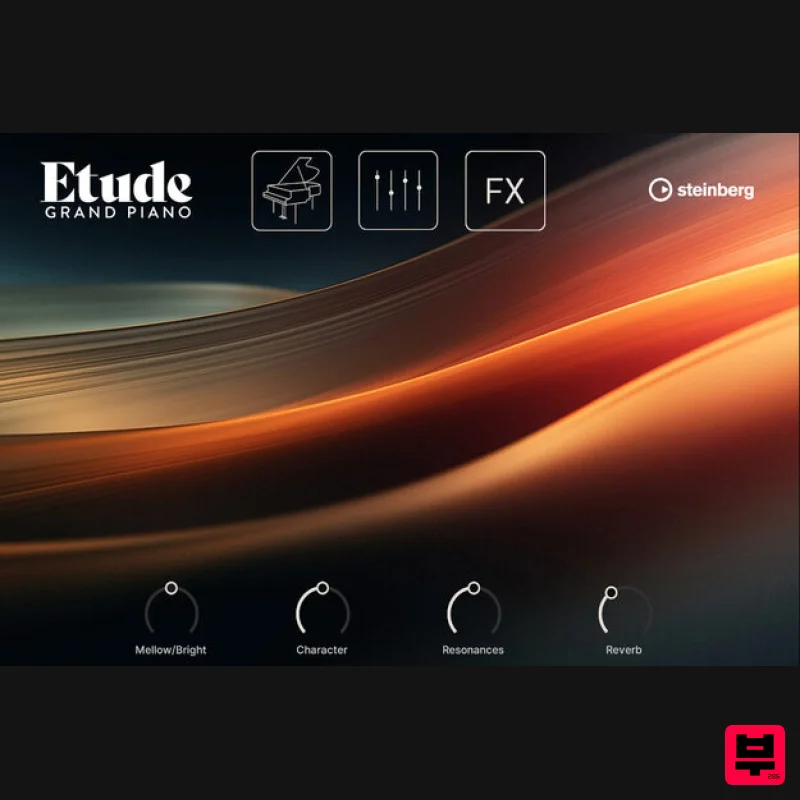 Steinberg Etude - Professional Music Instrument Photo