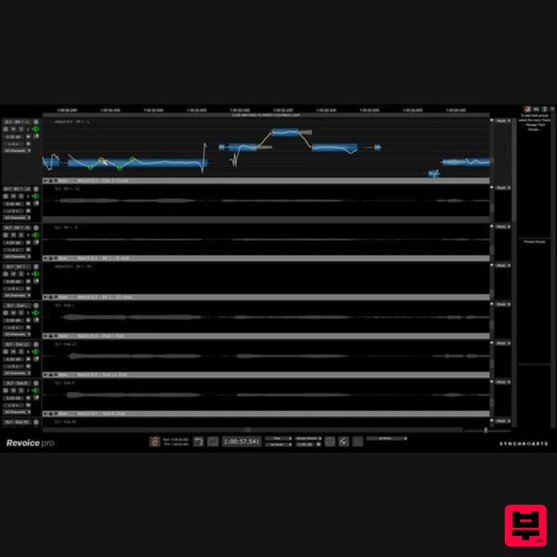 Synchro Arts Revoice Pro 5 - Vocal Processing