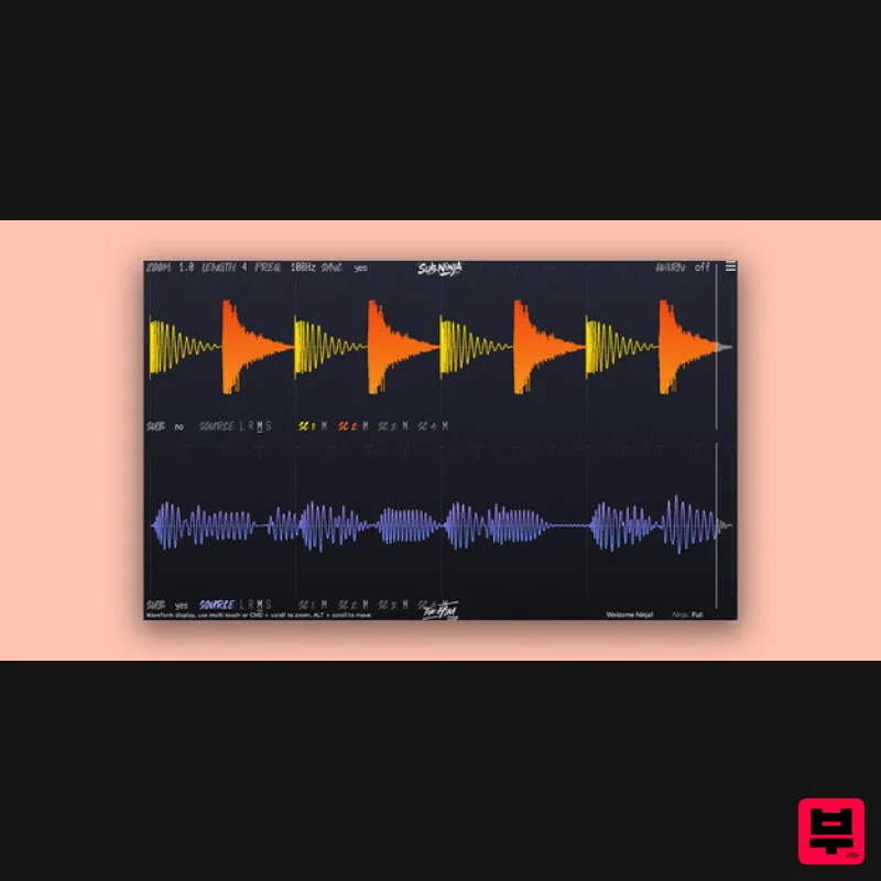 The Him DSP Sub Ninja - Professional Music Instrument Photo