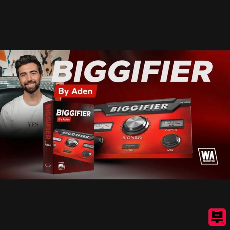 W. A. Production BIGGIFIER by Aden - Compressor